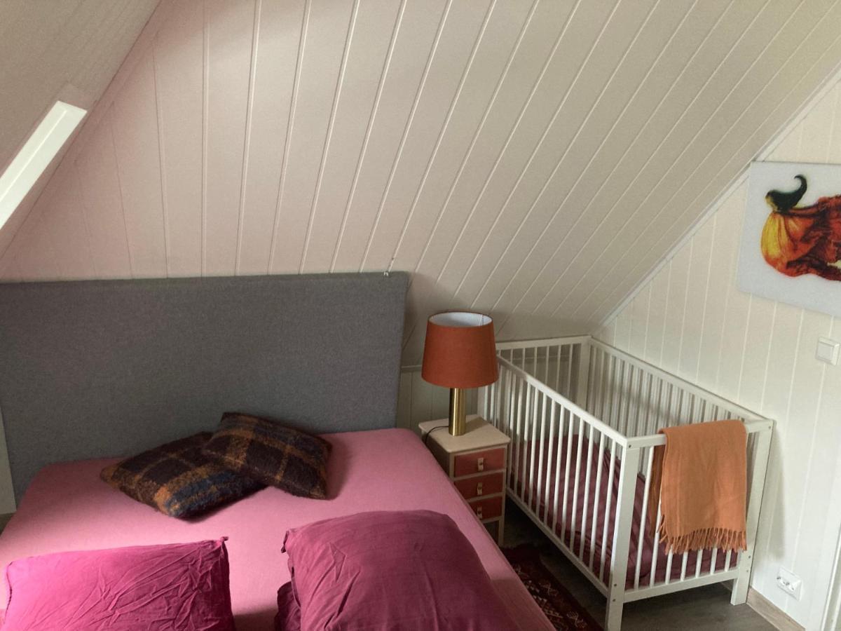 Downtown Historical House With Renovated Lejlighed Ålesund