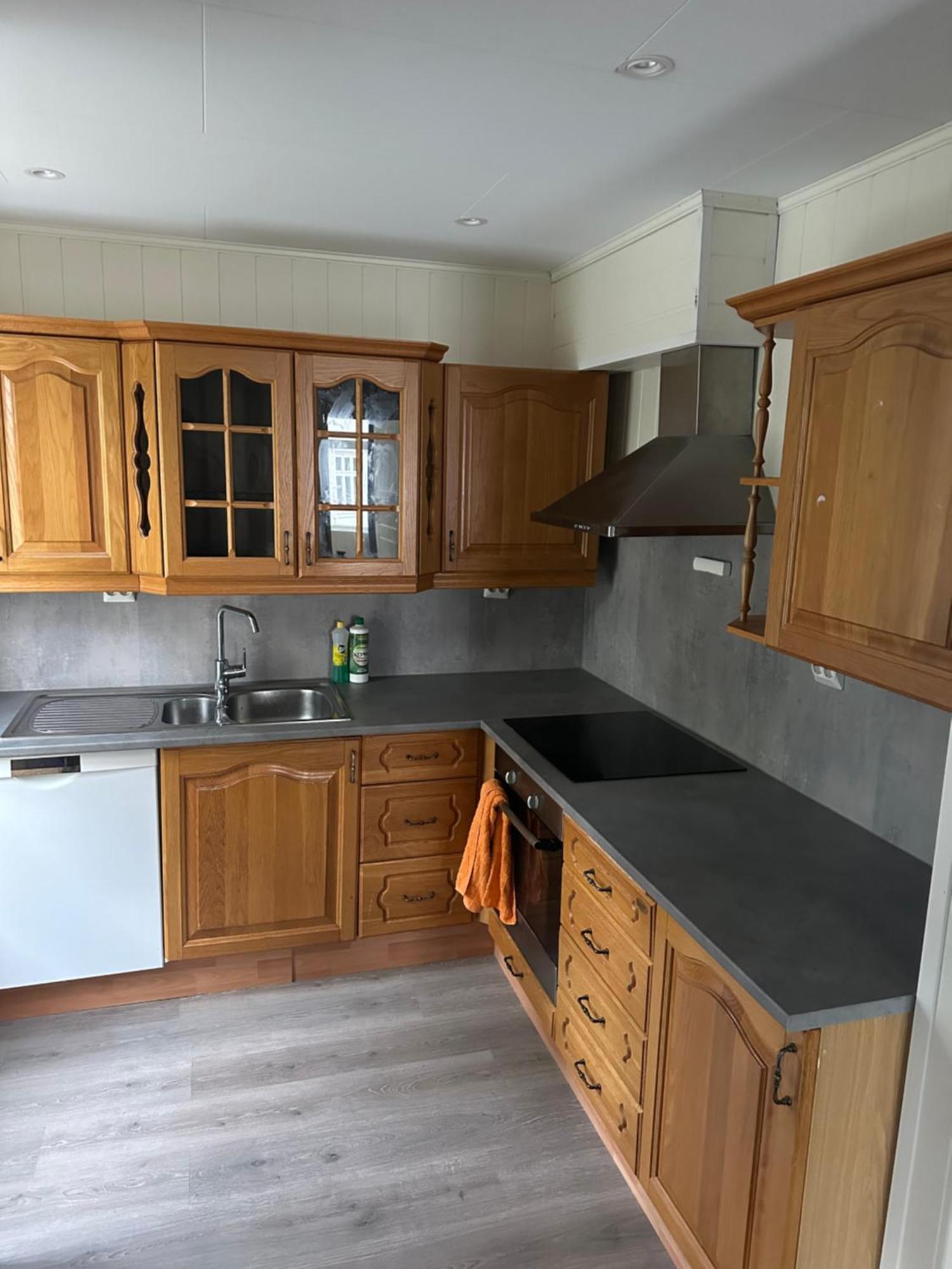 Downtown Historical House With Renovated Lejlighed